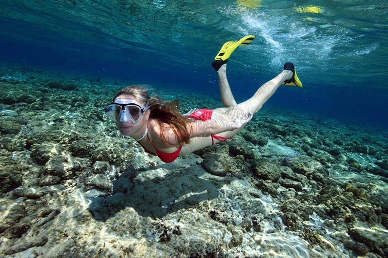 自由潛究竟危不危險？