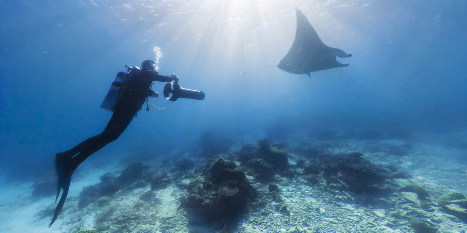 注意，這幾種情況下不能潛水