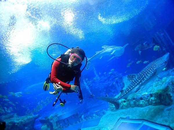 潛在水里，學(xué)做一條靜靜的魚(yú)