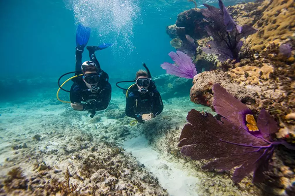 【水肺潛水安全嗎？】轉(zhuǎn)自PADI