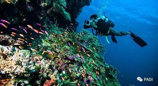 11個(gè)你不得不去的印尼頂級(jí)潛點(diǎn)