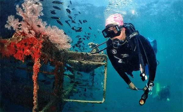 馬來(lái)西亞潛水絕佳攻略