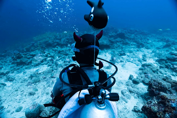 潛水安全準(zhǔn)則摘要