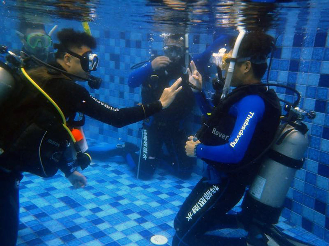 除了俯瞰大地的飛翔，還有潛入海底的翱翔。